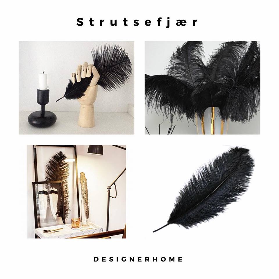strutsefjær interiør